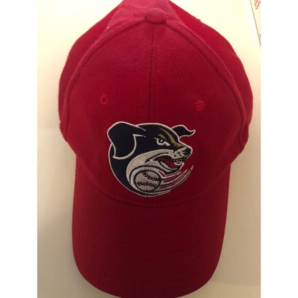Lincoln Nebraska Salt Dogs Baseball Hat Cap Men's - Picture 1 of 4